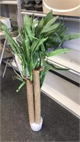 Banana Leaf 4 ft Plant