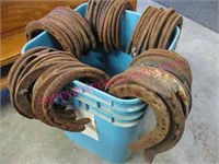 lot of 50 old iron horse shoes (blue bucket)