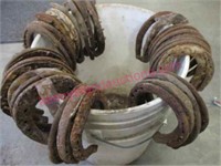 lot of 34 old iron horse shoes (white bucket)