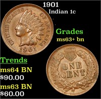 1901 Indian Cent 1c Grades Select+ Unc BN