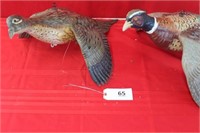 Flying Pheasants - Roaster & Hen