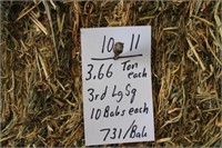 Hay-Lg.Squares-3rd-10 Bales