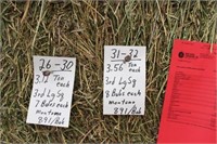 Hay-Lg.Squares-2nd-M8.97-P18.88-R-156-7 Bales