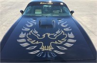 1978 Pontiac Firebird Custom Coupe "Burt Reynolds"