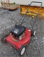 Briggs and Stratton Murray 22 inch push