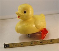 Swimmig Duck