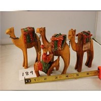 Camels (4)