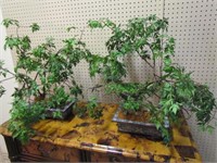 Antique Cloisonne planters with faux bonsai