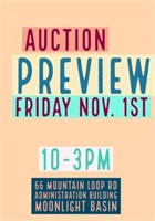 Auction Preview: Friday Nov. 1st