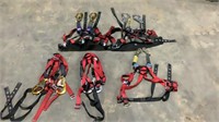 (Qty - 5) Complete Harnesses w/ Fall Protectors-