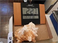 Conch sea shell - Sioscan Atomic clock