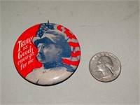 Teddy Roosevelt Campaign Button 1967
