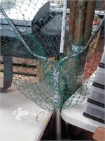 Fishing pole with net