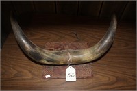 Mounted Horns with Leather Trim on Mount