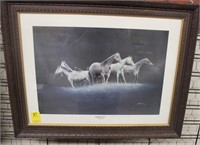"Midnight Eyes" Framed & Matted Horse Print