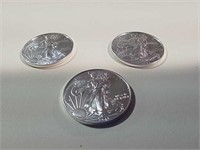 3-2013- -1 oz fine silver dollars