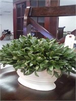 Silk plant