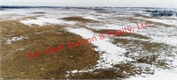 Absolute Land Auction 320 +/- Acres in Tripp County, SD!