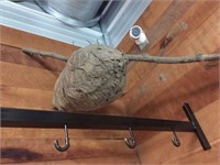 3 Hornets Nests & Fluorescent Light