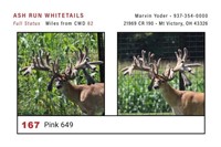 Ohio Fall Trophy Auction