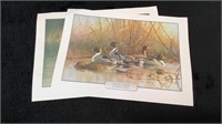 (qty - 2) Duck Prints-