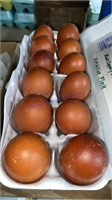 1 Doz Fertile French Maran Eggs - See Desc