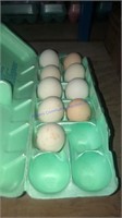 9 Fertile Icelandic Eggs - Multicolor