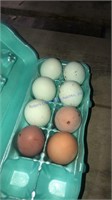 8 Fertile F1 Olive Egger & Blk Copper Maran Eggs