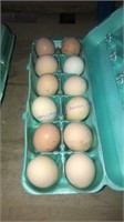 12 Fertile Ayam Cemani Eggs