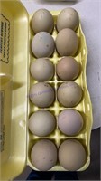 12 Fertile Easter Egger X Turken Eggs