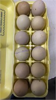 12 Fertile Easter Egger X Turken Eggs