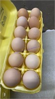 3 Doz Light Brown Eating Eggs