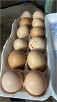 12 Fertile Black Cochin Eggs