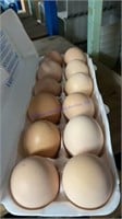 12 Fertile Light Brahma Eggs