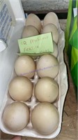 12 Fertile Muscovy Duck Eggs