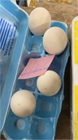 4 Fertile Chinese Geese Eggs