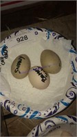 3 Fertile Call Duck Eggs - 2 Snowy & 1 Butterscot