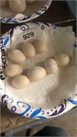 8 Fertile Micro Serama Eggs