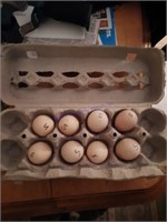 8 Fertile Silkied Cochin Eggs