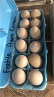 1 Doz Fertile Ayam Cemani Eggs