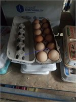 4 Doz Large Brown Eating Eggs