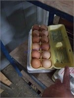 4 Doz Xlarge Brown Eating Eggs