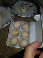 6 Fertile Mille Fluer D'uccle Eggs - Poss. Frizzl