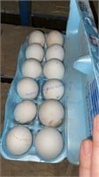 12 Fertile Leghorn Eggs
