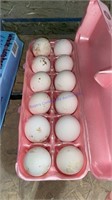12 Fertile Leghorn Eggs