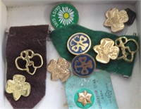Girl Scout Pins