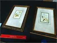 Lot of 2 Matching/Similar Bird Framed Prints 12X17