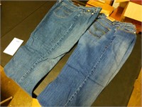 Lot of 2 Size 16M Lee & Levi Womens Blue Jeans