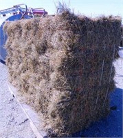 126 sq bales of alfalfa/grass mix hay