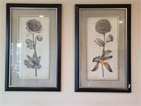 FRAMED PRINTS